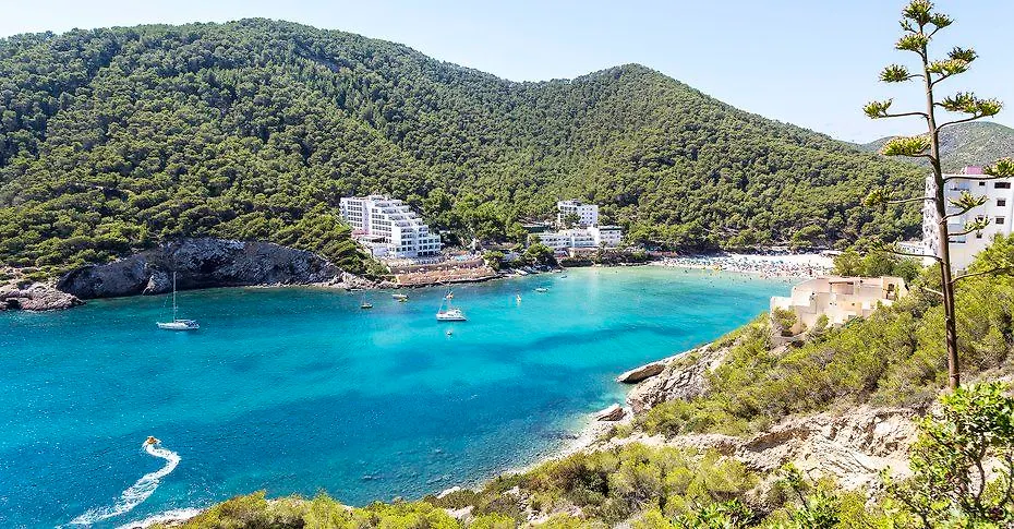 ****  Palladium Hotel Cala Llonga - Adults Only Spain